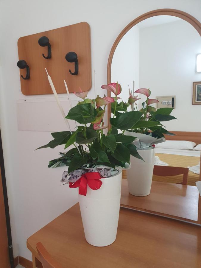 Hotel Venezia San Mauro Mare エクステリア 写真
